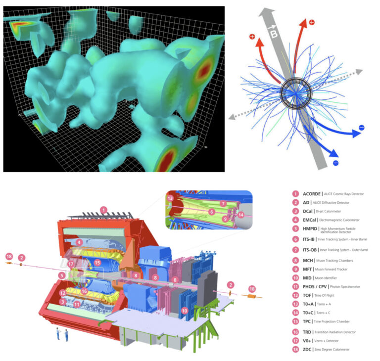 Research activities: Chiral Magnetic Effect